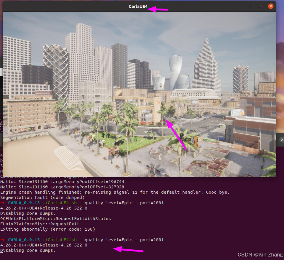 CARLA binary launch success